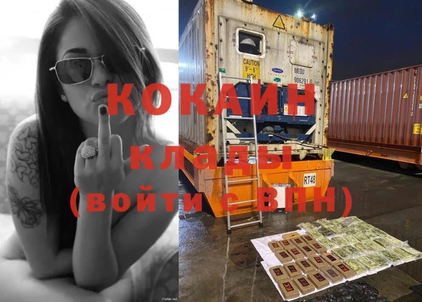 крисы Осинники