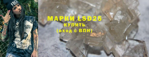 крисы Осинники