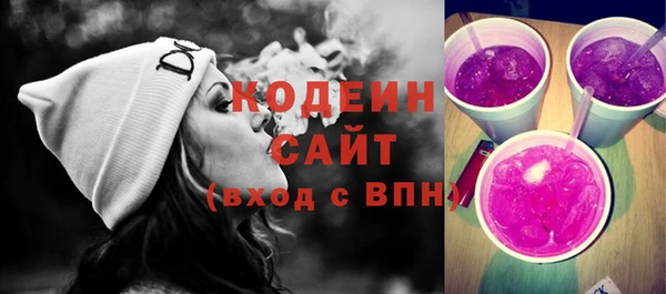 шишки Осташков