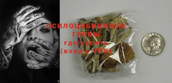 крисы Осинники
