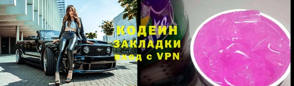 шишки Осташков