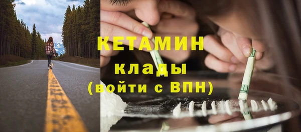 крисы Осинники