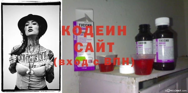 крисы Осинники