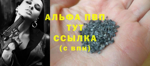 шишки Осташков
