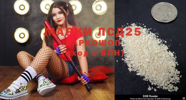 шишки Осташков
