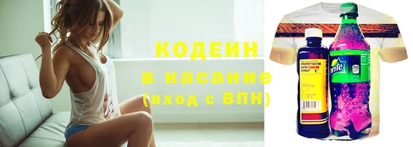 шишки Осташков