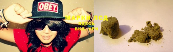 шишки Осташков