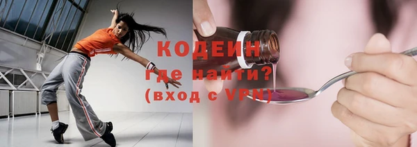 шишки Осташков