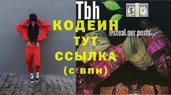 крисы Осинники