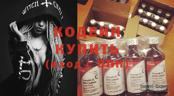 крисы Осинники