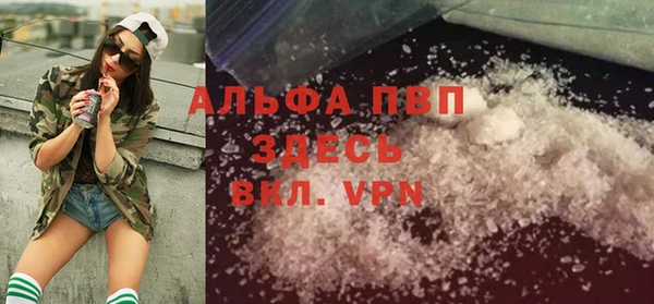 шишки Осташков