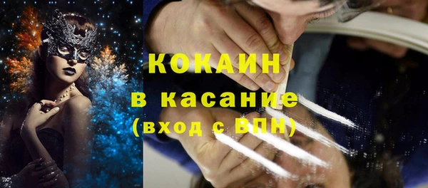 крисы Осинники