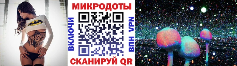 магазин продажи наркотиков  Поворино  Псилоцибиновые грибы мицелий 